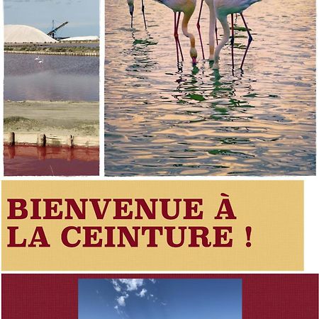 Hotel Restaurant La Ceinture Vauvert Luaran gambar