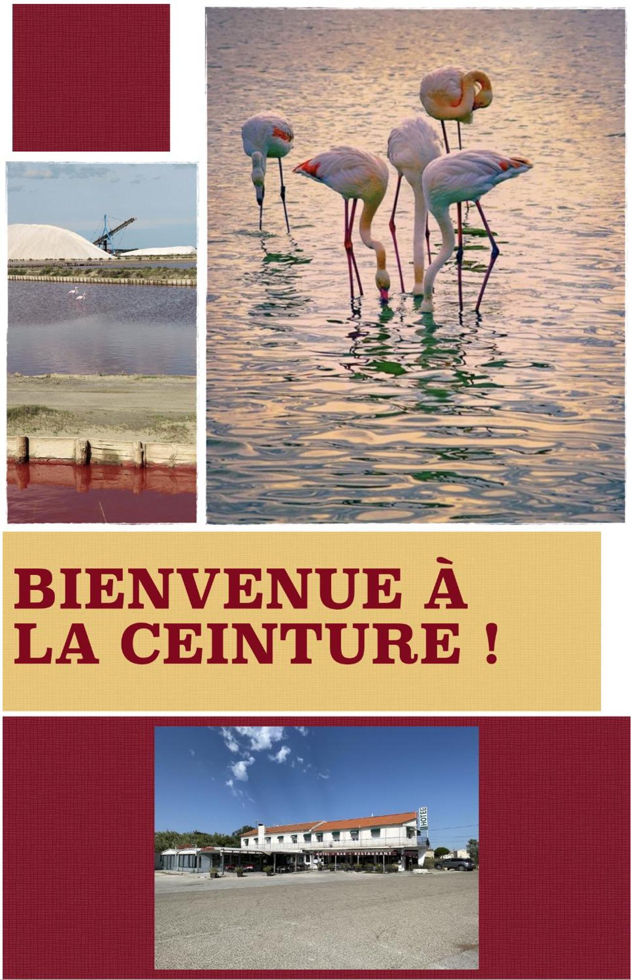 Hotel Restaurant La Ceinture Vauvert Luaran gambar
