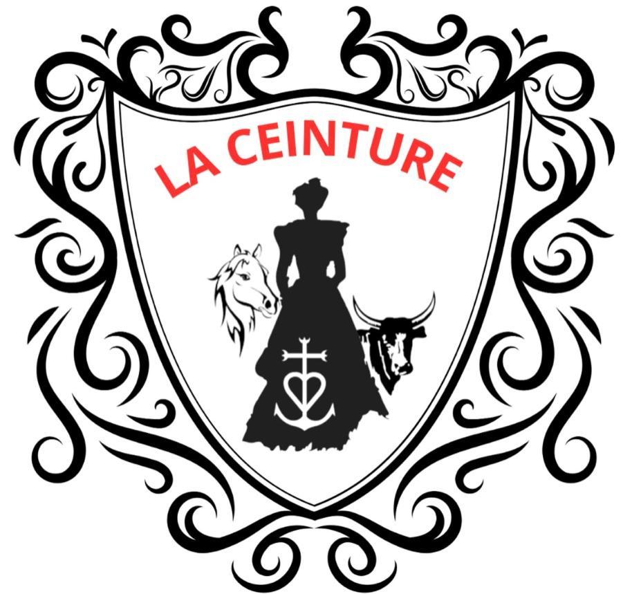 Hotel Restaurant La Ceinture Vauvert Luaran gambar